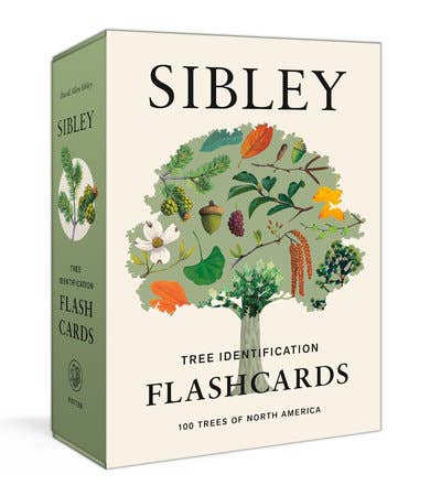 
                    
                      Sibley Tree Identification Flashcards box, colorful tree illustration on cream front, green spine visible in angled shot.
                    
                  