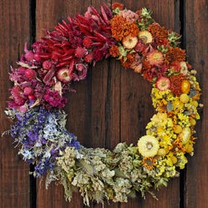 
                    
                      Dried flower wreath in rainbow gradient colors, featured in Designing with Dried Flowers book, full view on wood.
                    
                  