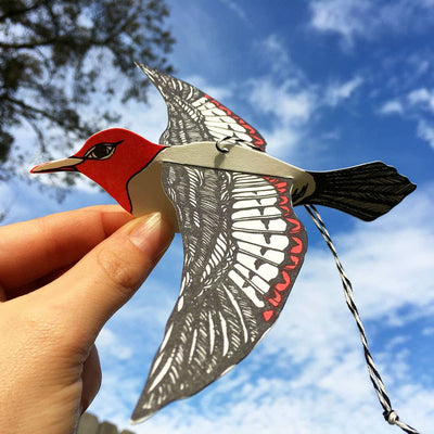 
                    
                      Woodpecker Pop-Out Die-Cut Card, 100% cotton paper, red head, black-white patterned wings, held in hand for scale against…
                    
                  