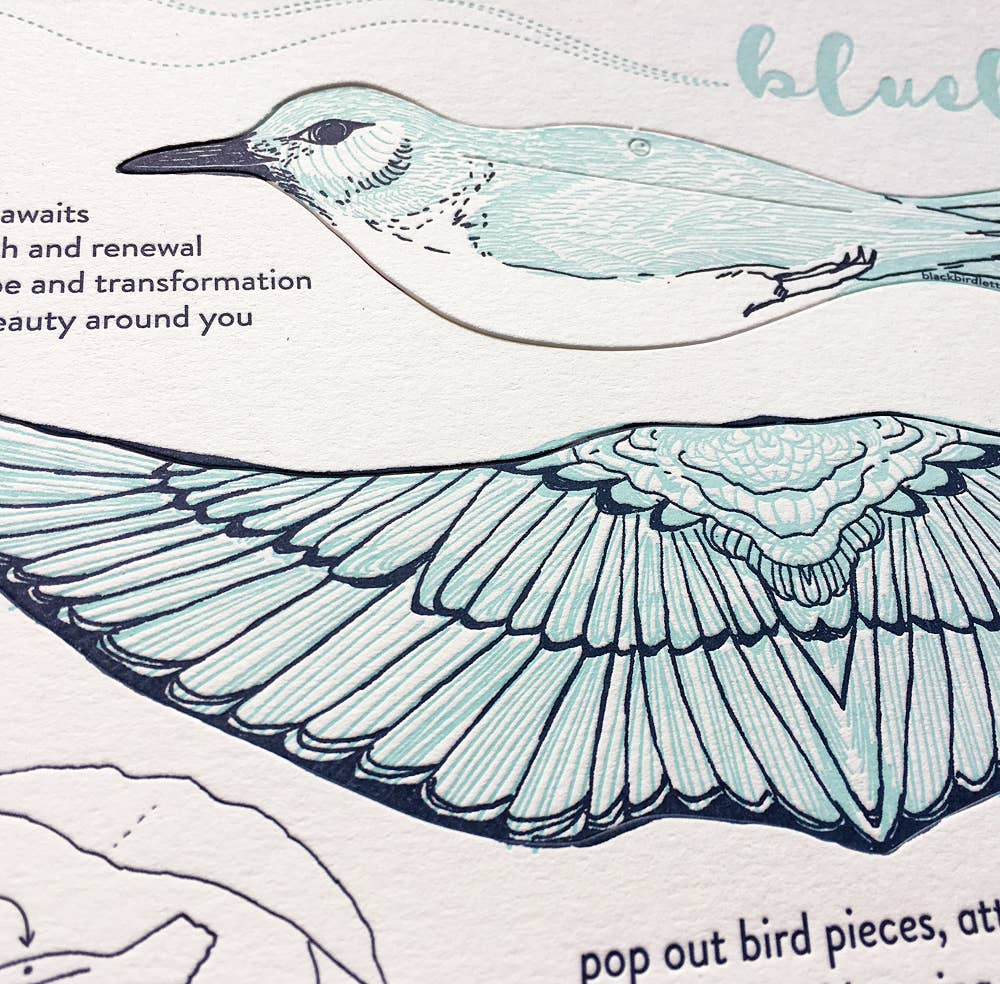 Bluebird Pop-Out Die-Cut Card, intricate die-cut bluebird wing and body details, instruction text, on cotton paper.