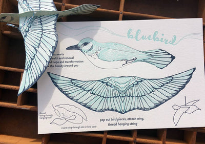 
                    
                      Bluebird Pop-Out Die-Cut Card 3D build kit on cotton paper, showing light blue bird elements, assembly instructions, and…
                    
                  