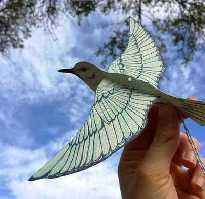 
                    
                      Bluebird Pop-Out 3D build kit, light blue cotton paper bird held in hand against blue sky, showing delicate wing detail.
                    
                  