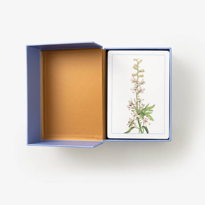 
                    
                      Wildflower ID Flashcards, open lavender box with gold interior. Top laminated card features a light pink botanical…
                    
                  