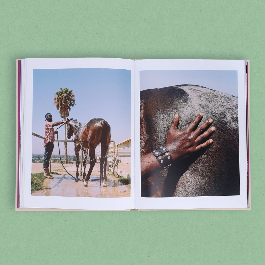 The New Black West book, open showing interior photos: man bathing a brown horse, hand petting a roan horse.