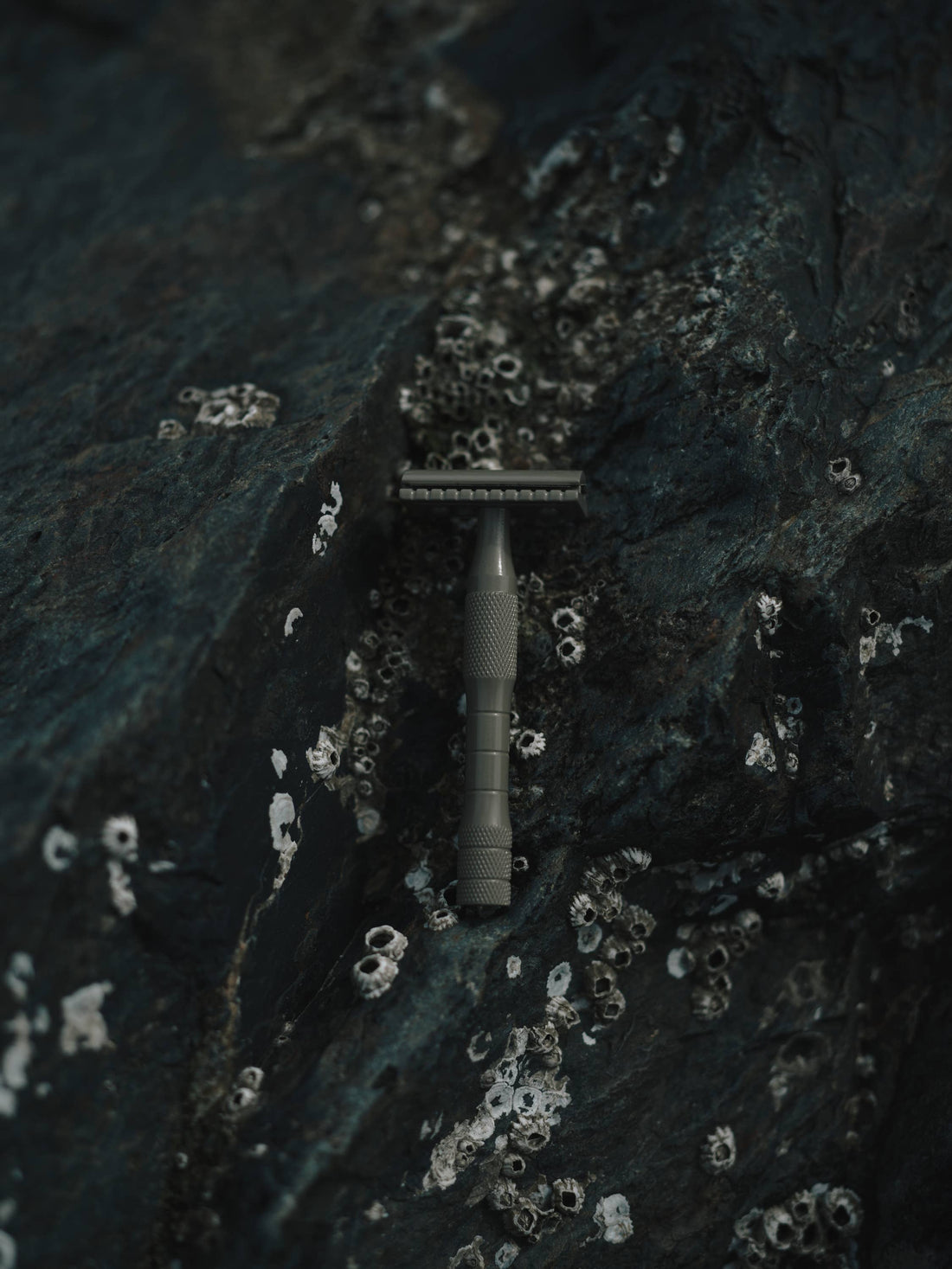 Kelp Brass safety razor, subtle kelp green, close-up view resting vertically on dark rock with barnacles.