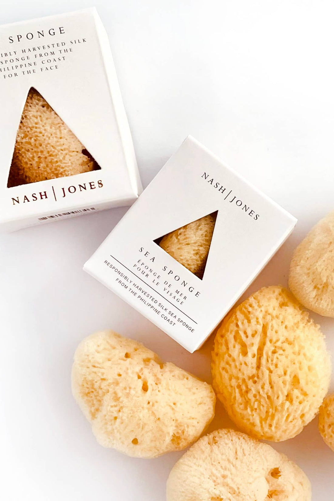 Nash and Jones Sea Sponge, natural tan silk exfoliation sponges in white boxes and several loose, porous sponges, flat lay…