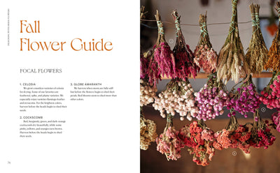 
                    
                      Designing with Dried Flowers book, open page 'Fall Flower Guide' text beside hanging bunches of dried pink, red, beige…
                    
                  
