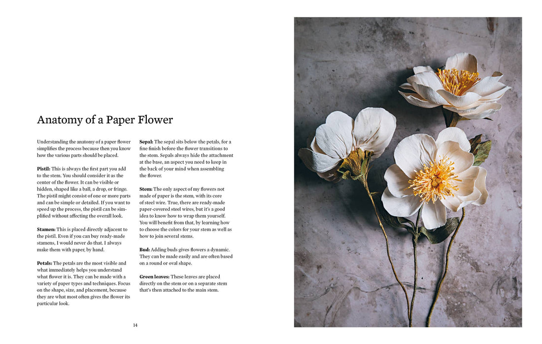 Paper Flower Magic book, open to 'Anatomy of a Paper Flower' page, next to three white and yellow paper blooms on gray…