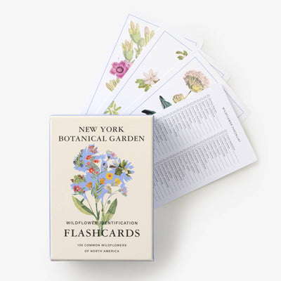 
                    
                      New York Botanical Garden Wildflower ID Flashcards box and fanned laminated cards with diverse botanical illustrations and…
                    
                  