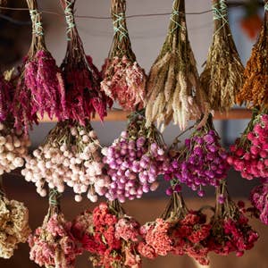 
                    
                      Colorful bundles of pink, purple, and cream dried flowers hanging upside down. Supporting visual for Designing with Dried…
                    
                  