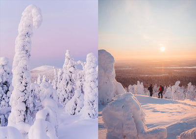 
                    
                      Scenic winter mountain landscape at sunset with two hikers overlooking a vast forest, illustrating the Food Over the…
                    
                  