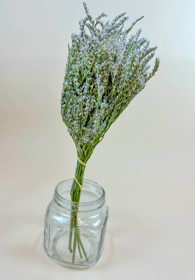 
                    
                      Natural White German Statice dried flowers, green stems with white blooms, tied with yellow rubber band in clear glass jar.
                    
                  