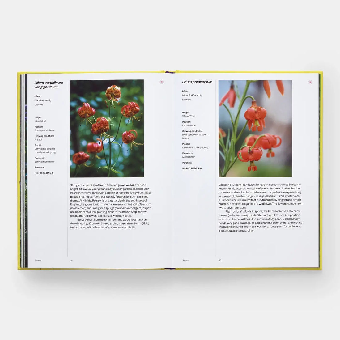 A Year In Bloom book, interior spread shows vibrant reddish-orange Lilium pardalinum and Lilium pomponium.