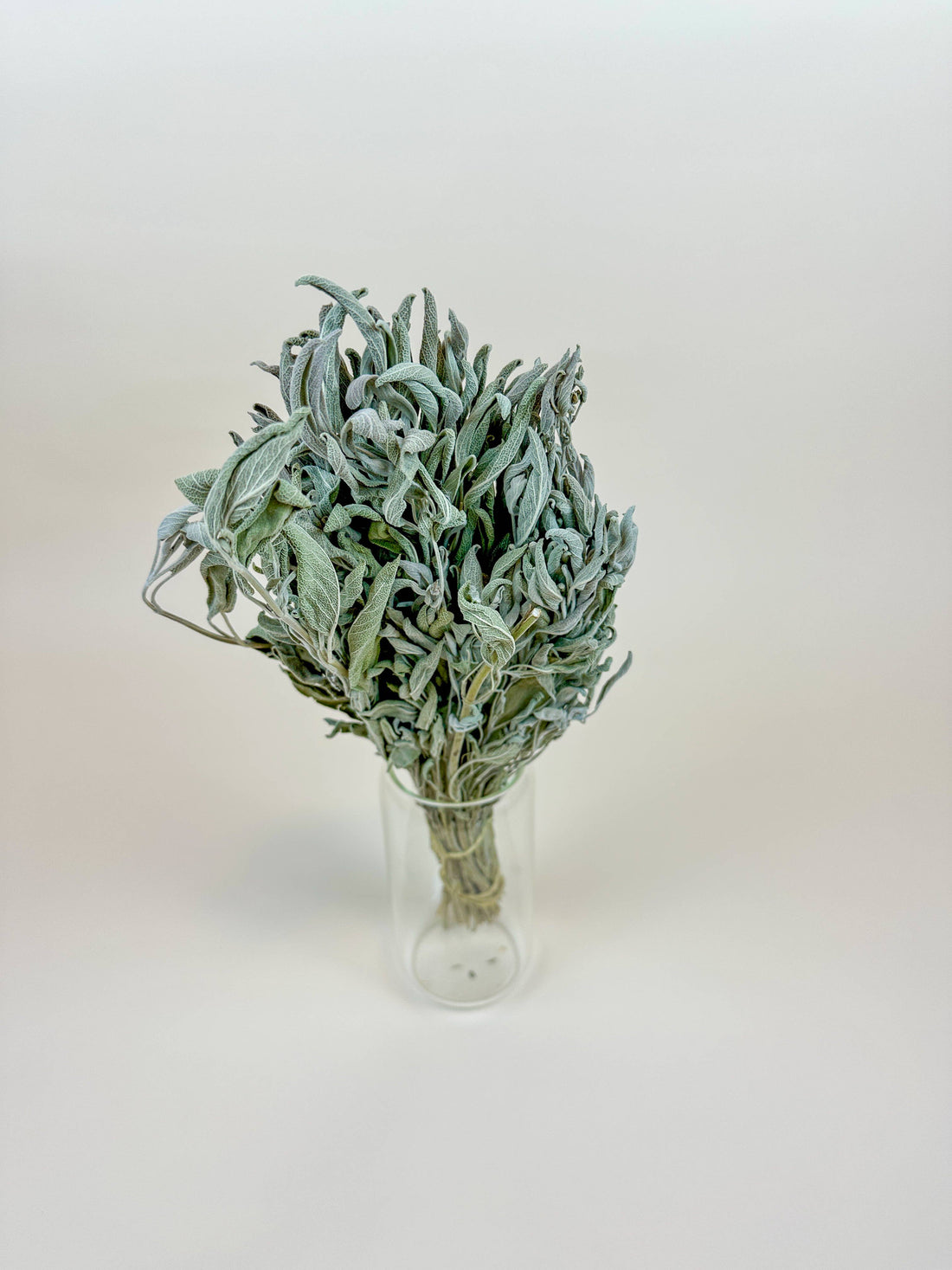 Sage Gray-Green Dried Filler, natural air-dried bundle tied with twine, standing in a clear glass vase, angled view.