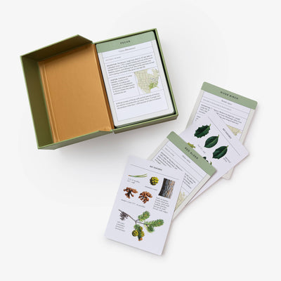 
                    
                      Sibley Tree Identification Flashcards open box with "Pecan" card visible. Laminated paper "River Birch" and "Red Alder"…
                    
                  