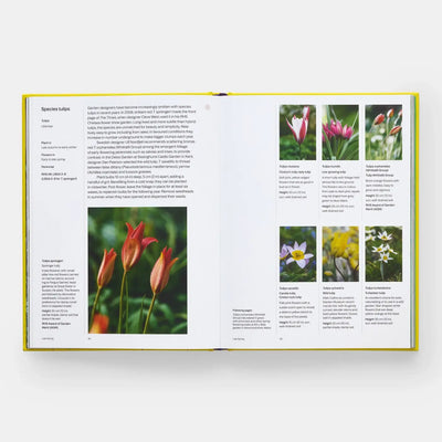 
                    
                      Phaidon A Year In Bloom book, interior spread showing pages 84-85 with seven vibrant tulip photos and botanical text,…
                    
                  