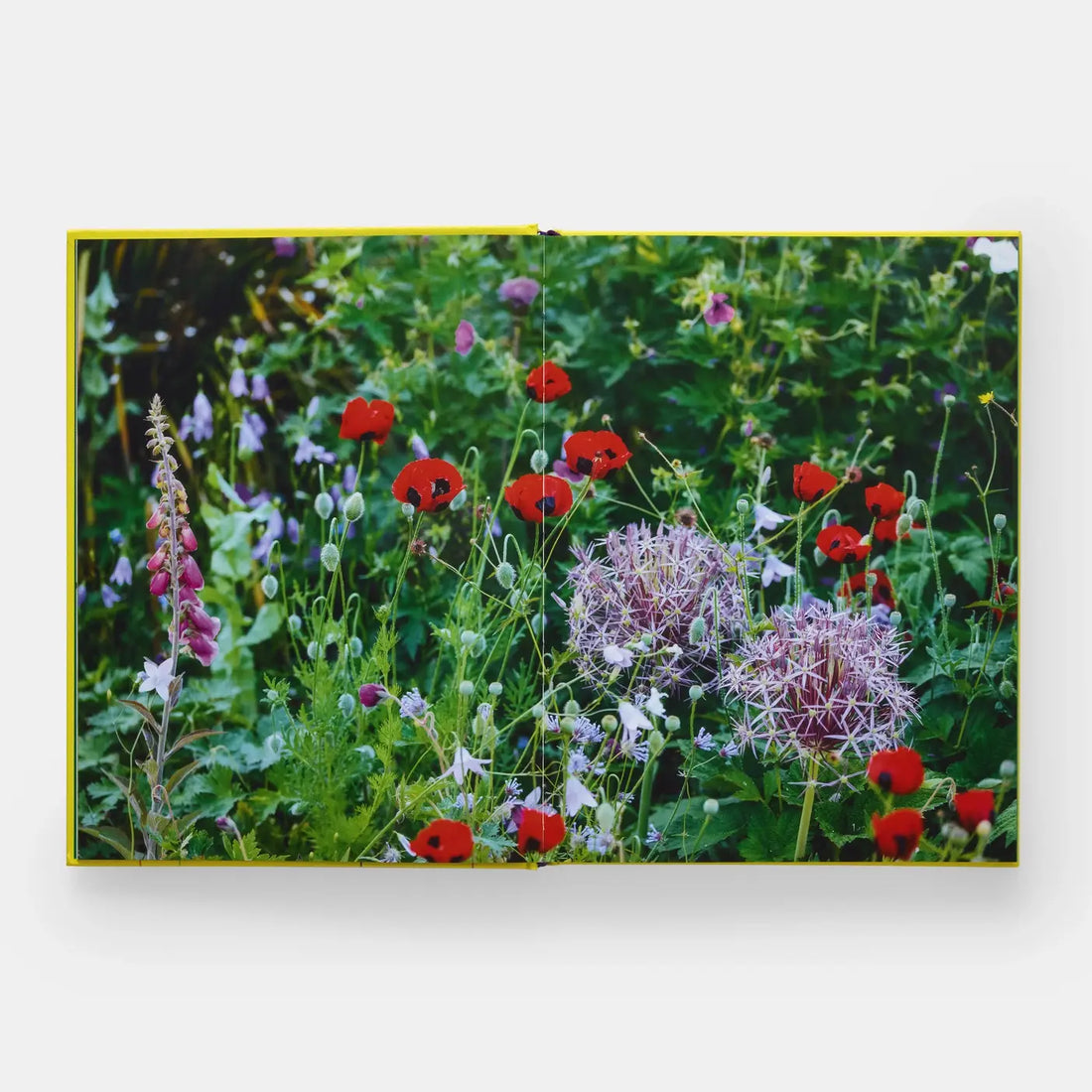 A Year In Bloom book open to pages featuring a colorful garden spread with red poppies and purple alliums, yellow spine…