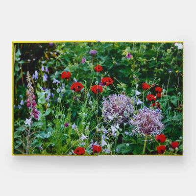 
                    
                      A Year In Bloom book open to pages featuring a colorful garden spread with red poppies and purple alliums, yellow spine…
                    
                  