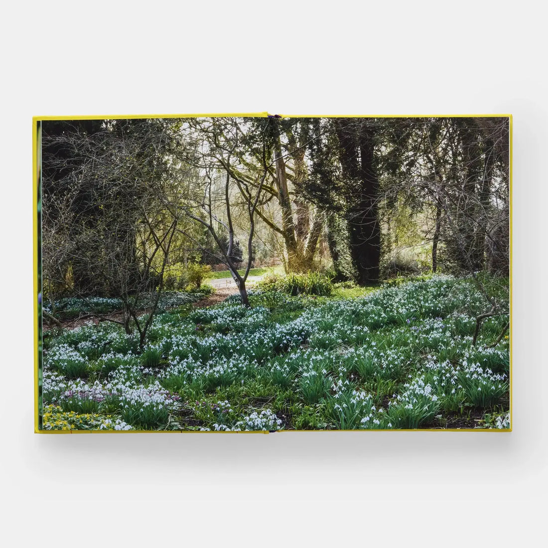 Phaidon 'A Year In Bloom' book, open to a full-page photo of white snowdrop flowers blooming in a green forest, showing…