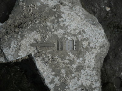 
                    
                      Kelp safety razor, disassembled: brass handle, comb plate, top plate, and stainless steel blade laid on a textured rock.
                    
                  