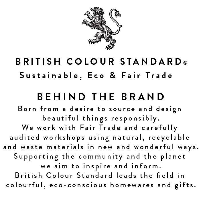 British Colour Standard 'Behind the Brand' text. Details sustainable, eco, and fair trade values with black lion logo.
