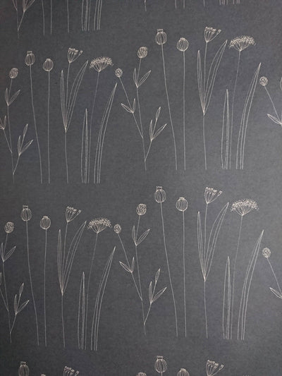 
                    
                      Botanical Wrapping Paper, white line-art illustrations of poppy pods, dill flowers, and grasses on dark gray recycled kraft,…
                    
                  