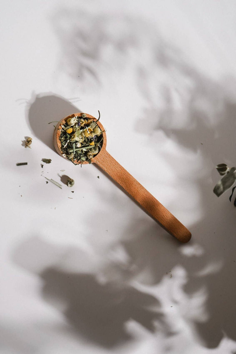 Growing Up Rooted Wooden Tea Scoop, unfinished beechwood, filled with loose leaf chamomile tea, top-down view on white with…