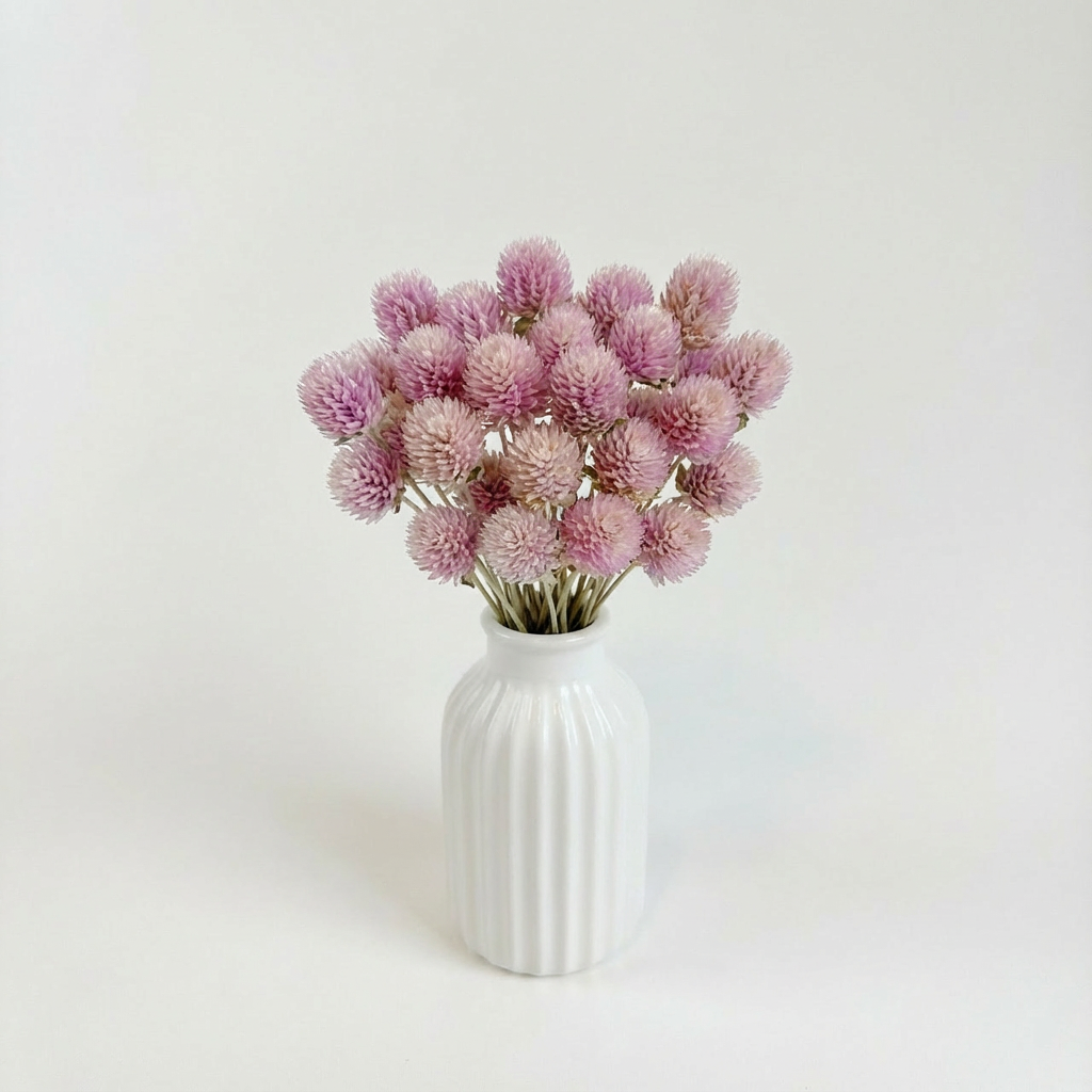 Lovejoy Farms Globe Amaranth – Blush Pink, naturally air dried flowers, full bunch in a white ribbed vase, front view on…