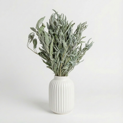 
                    
                      Lovejoy Farms Sage Gray-Green dried filler bouquet in a white fluted vase, front view on white.
                    
                  