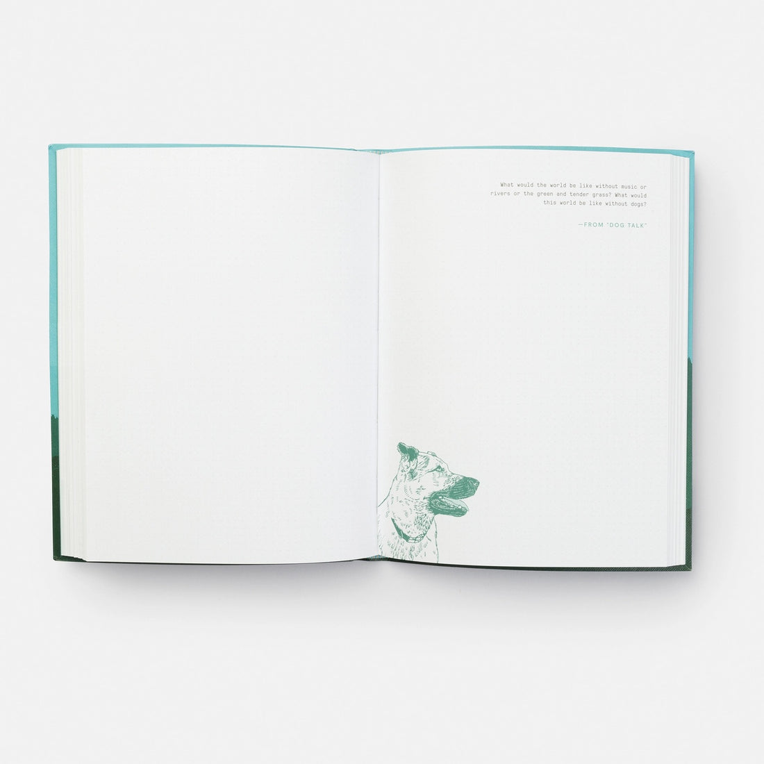 This Wild And Precious Life journal open to white dot-grid pages with a green dog illustration and quote, turquoise cover…