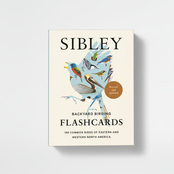 Penguin Random House Sibley Backyard Birding Flashcards, cream cover with colorful bird art & 'Revised Updated' seal, front…