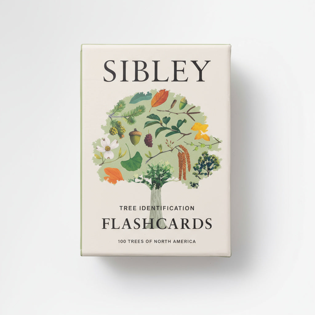 Penguin Random House Sibley Tree Identification Flashcards box, cream with colorful tree illustration, front view on white.