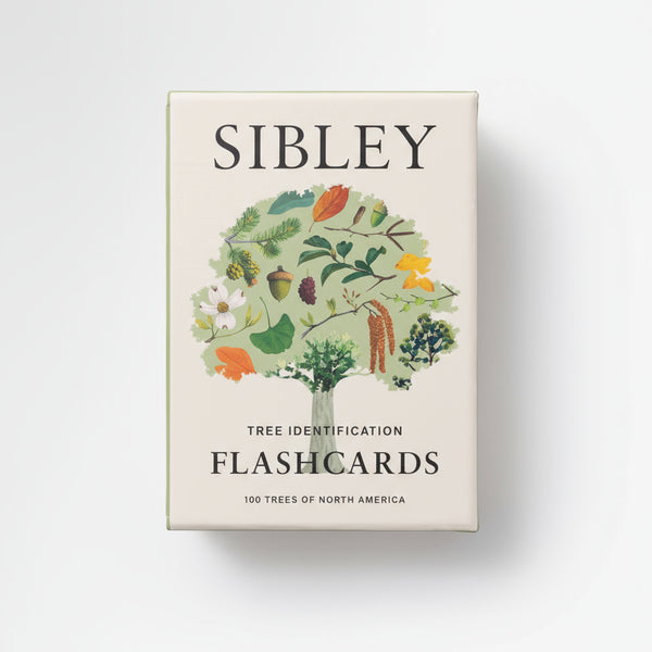 Penguin Random House Sibley Tree Identification Flashcards box, cream with colorful tree illustration, front view on white.