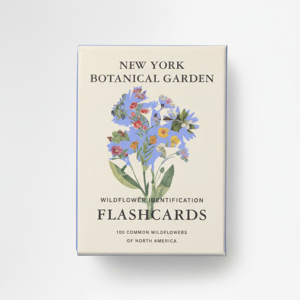 Penguin Random House New York Botanical Garden Wildflower ID Flashcards, cream box with blue wildflower illustration, front…
