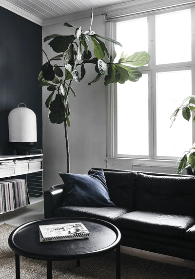 
                    
                      Green Home Book, interior design book, white cover, shown on black coffee table in cozy living room setting.
                    
                  