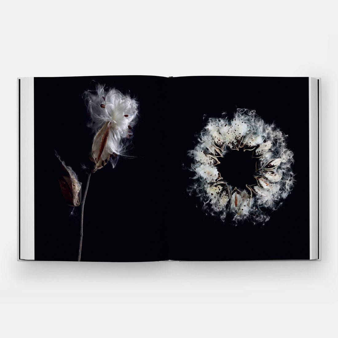 STILL art book, open to two pages, close-up photography of fluffy white milkweed seeds and pods against black.