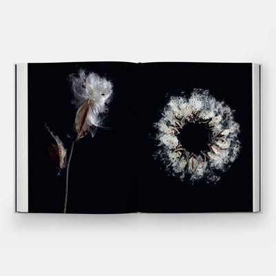 
                    
                      STILL art book, open to two pages, close-up photography of fluffy white milkweed seeds and pods against black.
                    
                  