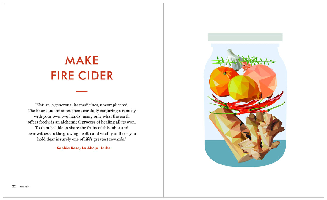 The Kaufmann Mercantile Guide print book, open page showing 'MAKE FIRE CIDER' recipe with geometric illustration of ginger,…