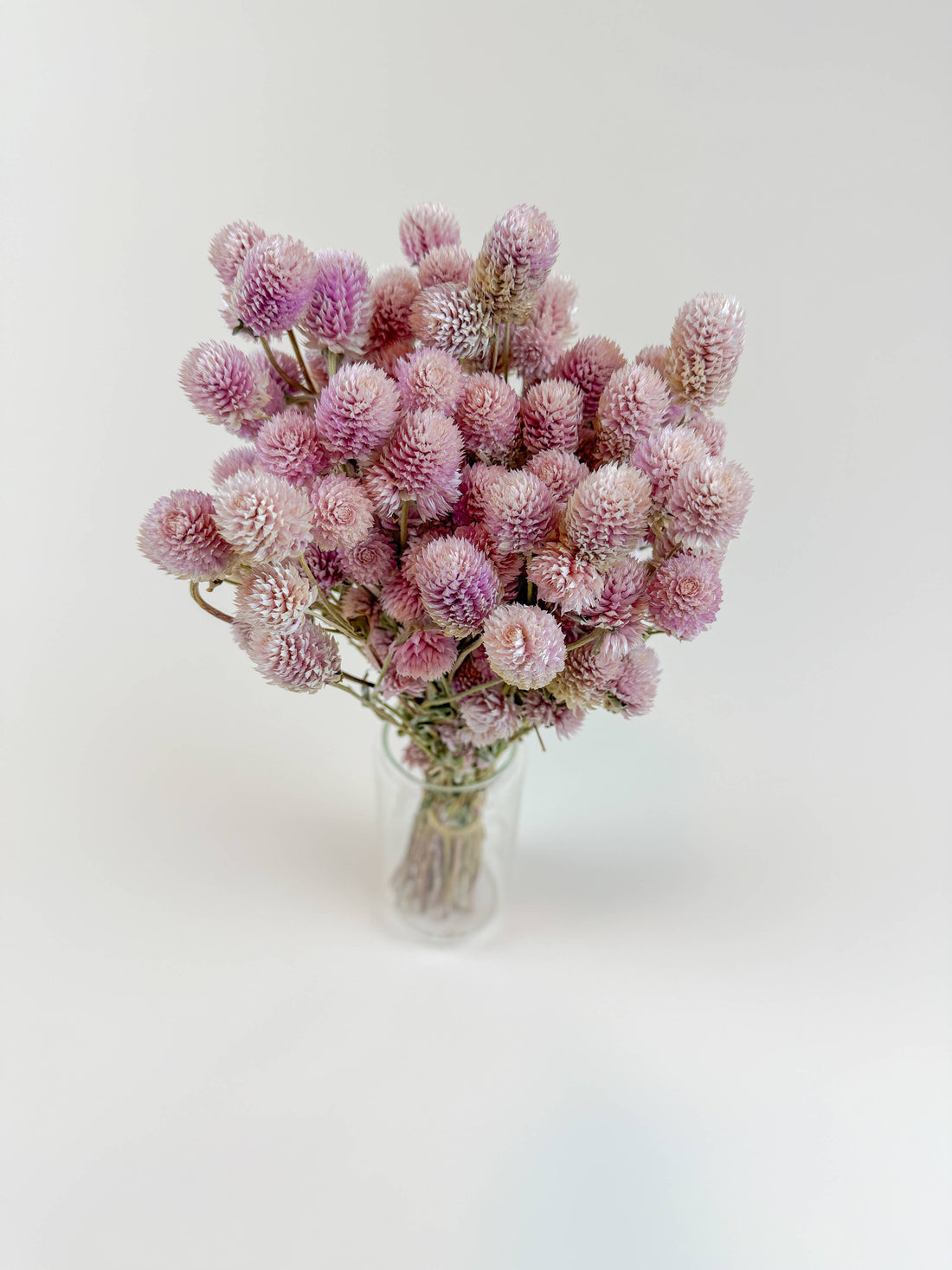 Blush Pink Globe Amaranth dried flower bouquet in clear glass vase, overhead view emphasizing fluffy texture.