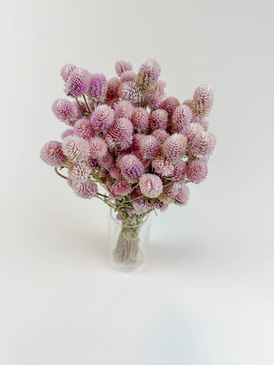 
                    
                      Blush Pink Globe Amaranth dried flower bouquet in clear glass vase, overhead view emphasizing fluffy texture.
                    
                  