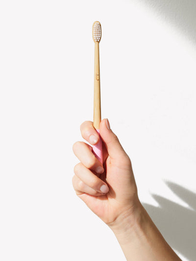 
                    
                      Petal Pink manual toothbrush, Moso bamboo handle with pink base and white bristles, held vertically in hand.
                    
                  