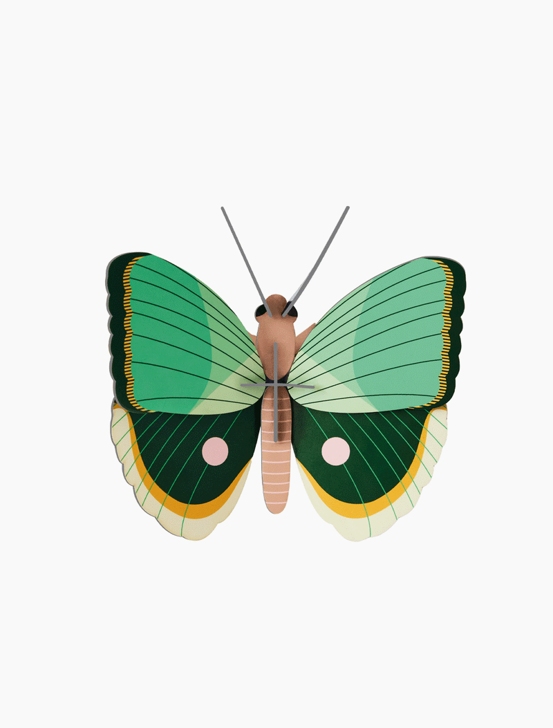 Studio Roof Fern Striped Butterfly 3D wall art kit, green, yellow, pink recycled cardboard, front view on white.