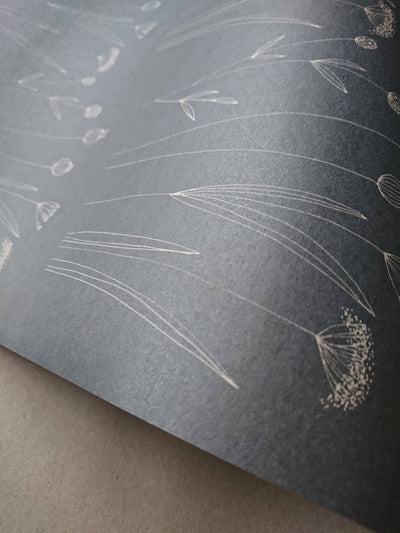 
                    
                      Botanical wrapping paper, dark grey recycled kraft with white Agnese Grīnberga floral illustrations, close-up texture.
                    
                  