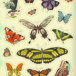
                    
                      What's Inside Garden Sticker Set, close-up of diverse, colorful butterfly stickers with intricate wing patterns.
                    
                  