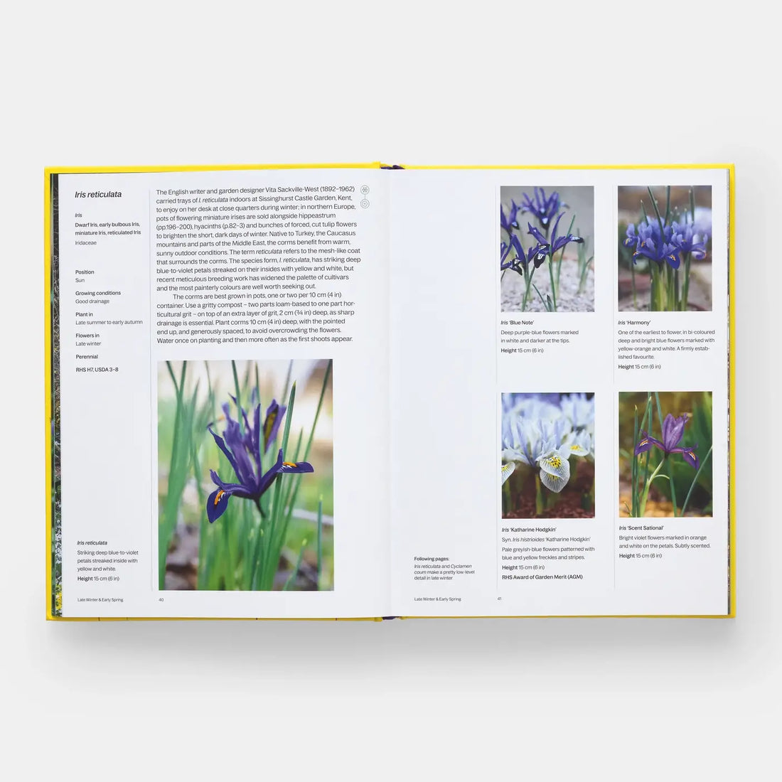 A Year In Bloom book open to Iris reticulata section, featuring photos of purple, blue, white iris flowers and yellow page…