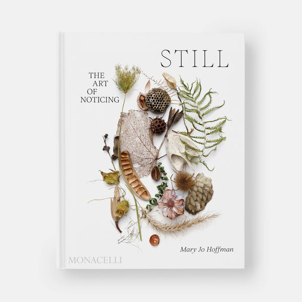 Phaidon STILL: The Art of Noticing hardcover book, white cover with intricate design of dried leaves, seeds, and ferns,…