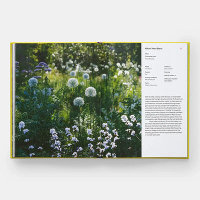 
                    
                      A Year In Bloom gardening book, open interior spread displaying a vibrant garden photo of white alliums and plant details.
                    
                  