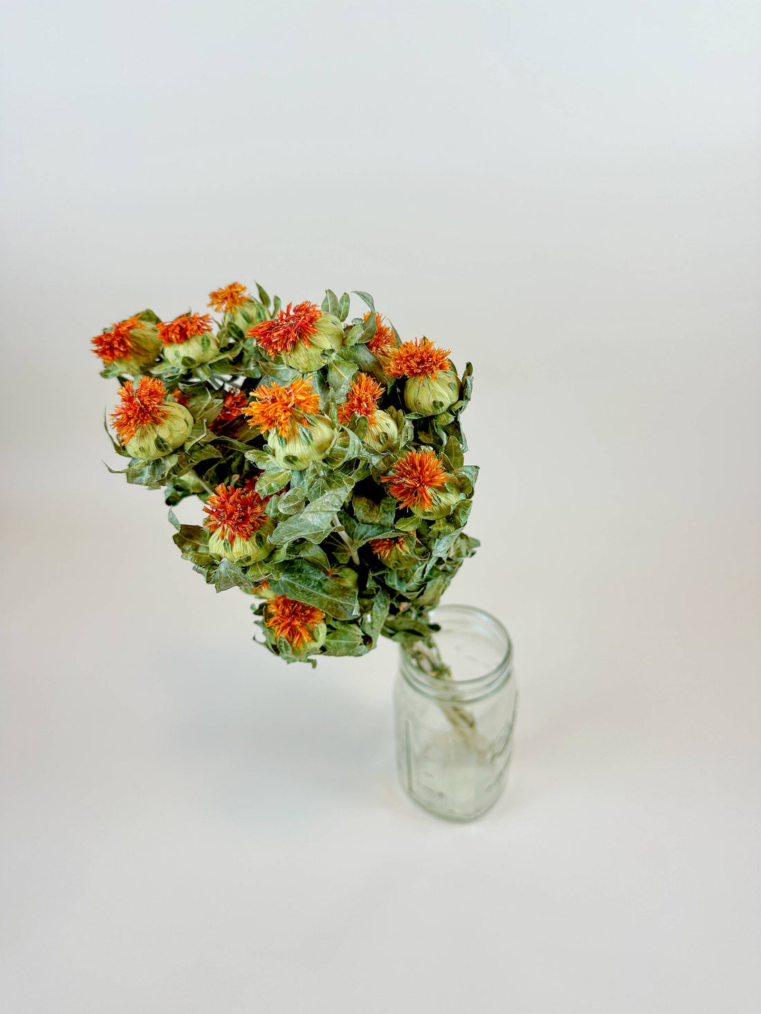 Dried Safflower – Orange bouquet, naturally dried with vibrant orange buds and green leaves, in a clear glass jar, overhead…