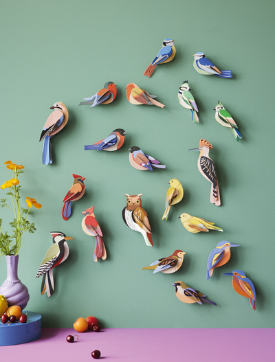 
                    
                      3d Robins build kit, an array of many colorful birds from recycled cardboard, displayed on a green wall, dimensional view.
                    
                  