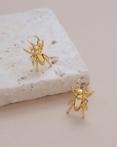 
                    
                      Mayana Designs Gold Beetle Stud Earrings, 24K gold-plated, angled flat lay pair on textured stone.
                    
                  